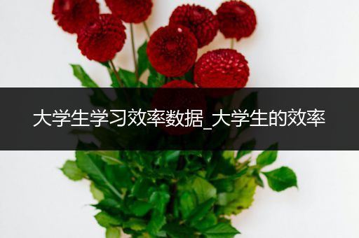 大学生学习效率数据_大学生的效率