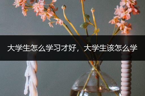 大学生怎么学习才好，大学生该怎么学