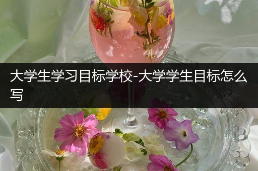 大学生学习目标学校-大学学生目标怎么写
