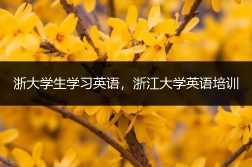 浙大学生学习英语，浙江大学英语培训