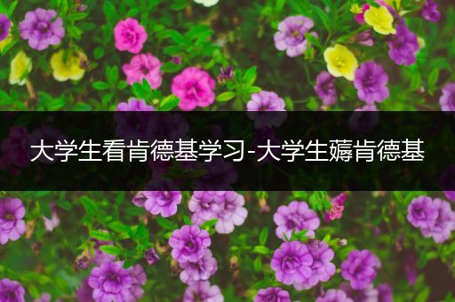 大学生看肯德基学习-大学生薅肯德基