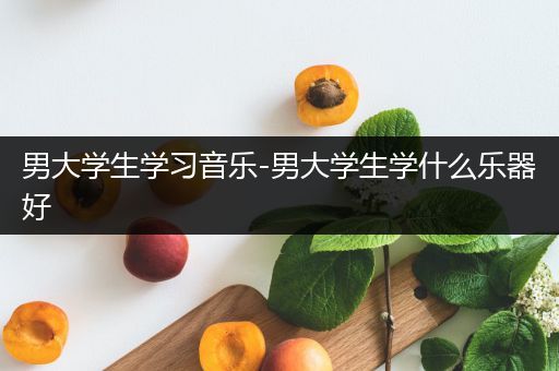 男大学生学习音乐-男大学生学什么乐器好