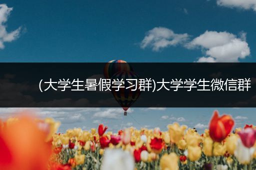 （大学生暑假学习群)大学学生微信群