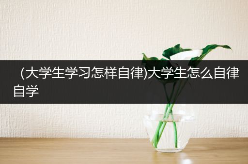 （大学生学习怎样自律)大学生怎么自律自学