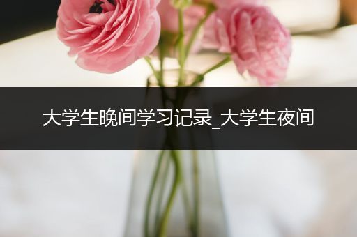 大学生晚间学习记录_大学生夜间