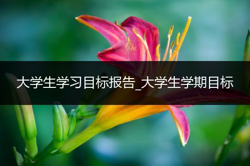 大学生学习目标报告_大学生学期目标