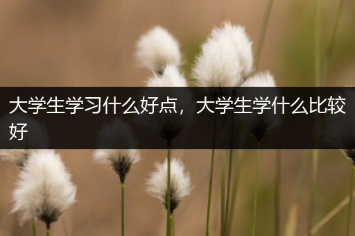 大学生学习什么好点，大学生学什么比较好