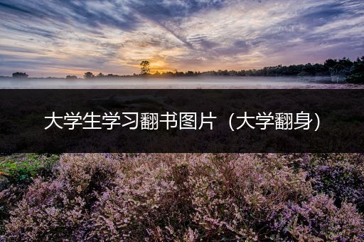 大学生学习翻书图片（大学翻身）