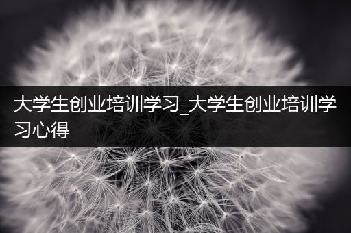 大学生创业培训学习_大学生创业培训学习心得