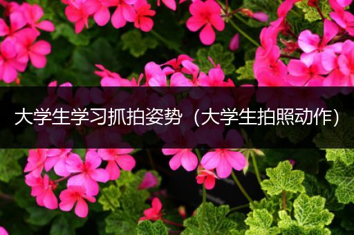 大学生学习抓拍姿势（大学生拍照动作）