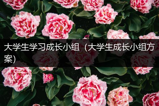 大学生学习成长小组（大学生成长小组方案）