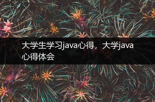大学生学习java心得，大学java心得体会