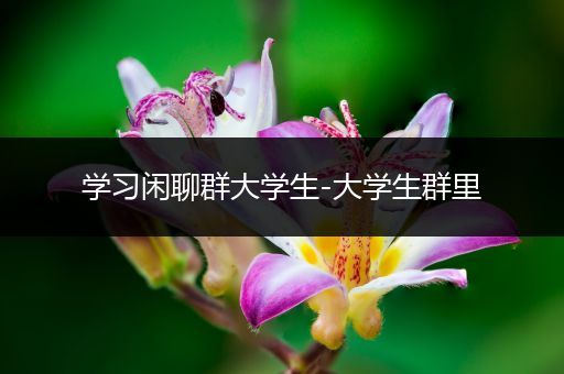 学习闲聊群大学生-大学生群里