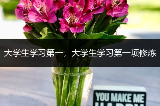 大学生学习第一，大学生学习第一项修炼
