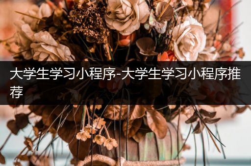 大学生学习小程序-大学生学习小程序推荐