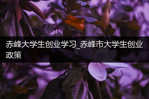 赤峰大学生创业学习_赤峰市大学生创业政策