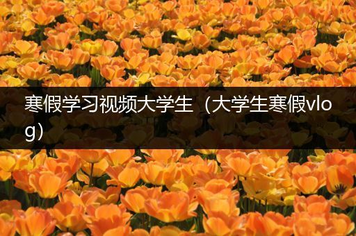 寒假学习视频大学生（大学生寒假vlog）