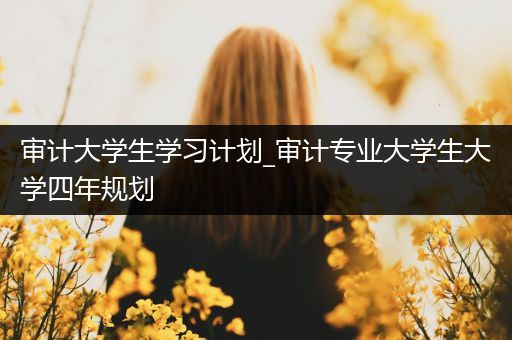 审计大学生学习计划_审计专业大学生大学四年规划