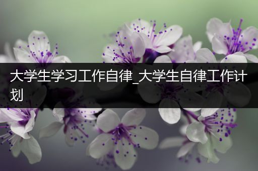大学生学习工作自律_大学生自律工作计划