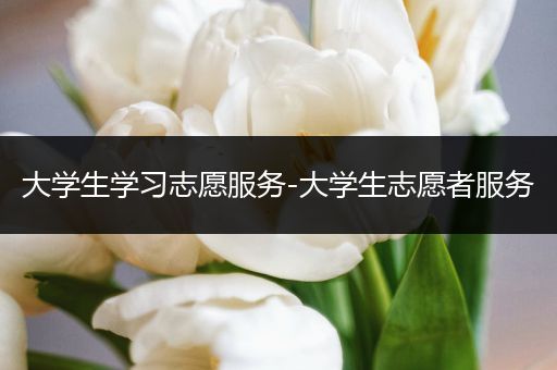 大学生学习志愿服务-大学生志愿者服务