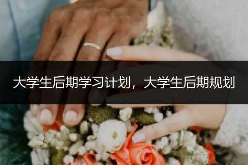 大学生后期学习计划，大学生后期规划
