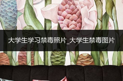 大学生学习禁毒照片_大学生禁毒图片