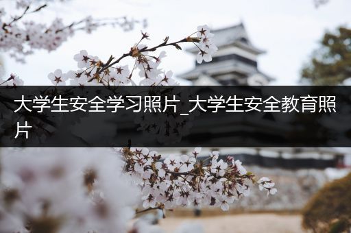 大学生安全学习照片_大学生安全教育照片