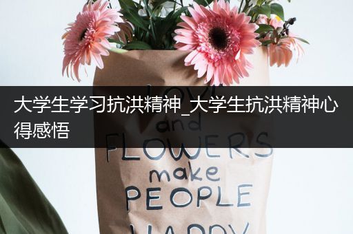 大学生学习抗洪精神_大学生抗洪精神心得感悟