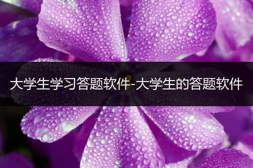 大学生学习答题软件-大学生的答题软件