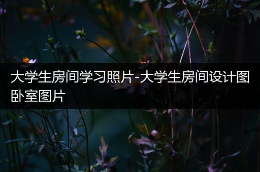 大学生房间学习照片-大学生房间设计图卧室图片