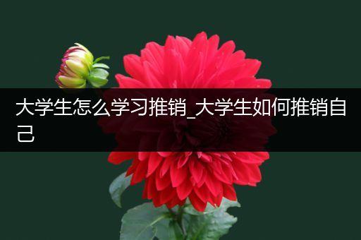 大学生怎么学习推销_大学生如何推销自己