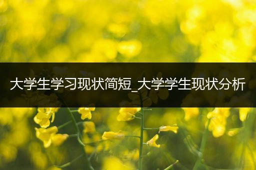 大学生学习现状简短_大学学生现状分析