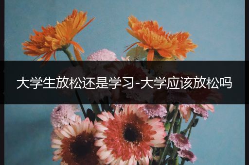 大学生放松还是学习-大学应该放松吗