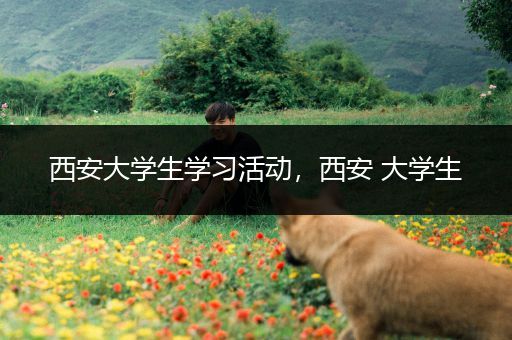 西安大学生学习活动，西安 大学生