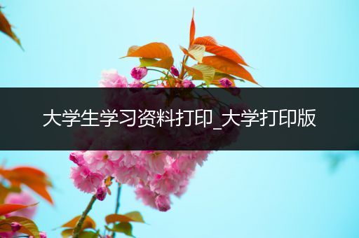大学生学习资料打印_大学打印版