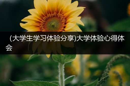 （大学生学习体验分享)大学体验心得体会