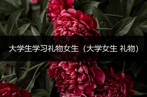 大学生学习礼物女生（大学女生 礼物）