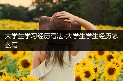 大学生学习经历写法-大学生学生经历怎么写