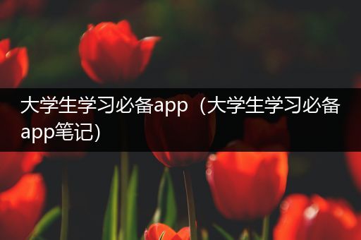 大学生学习必备app（大学生学习必备app笔记）