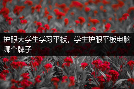 护眼大学生学习平板，学生护眼平板电脑哪个牌子