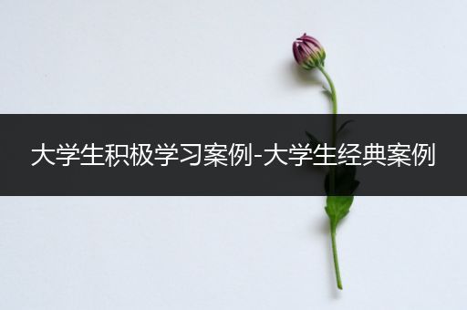 大学生积极学习案例-大学生经典案例