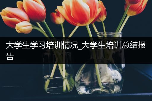 大学生学习培训情况_大学生培训总结报告