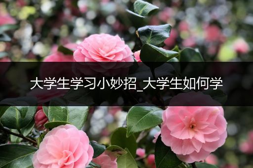 大学生学习小妙招_大学生如何学