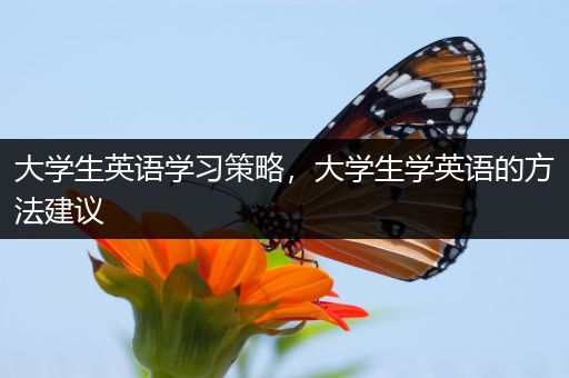 大学生英语学习策略，大学生学英语的方法建议