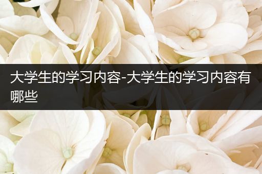 大学生的学习内容-大学生的学习内容有哪些