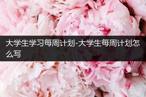 大学生学习每周计划-大学生每周计划怎么写