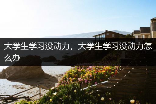大学生学习没动力，大学生学习没动力怎么办