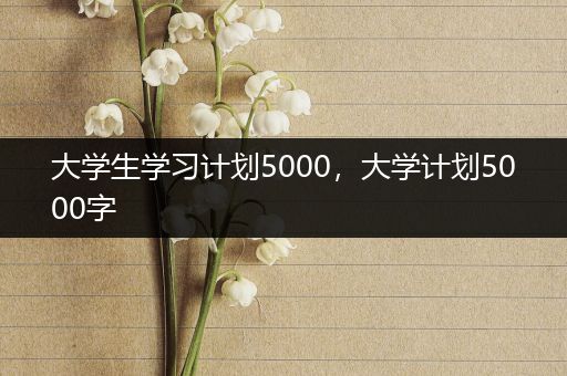 大学生学习计划5000，大学计划5000字
