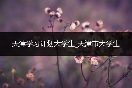 天津学习计划大学生_天津市大学生