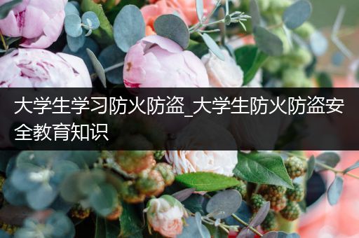 大学生学习防火防盗_大学生防火防盗安全教育知识